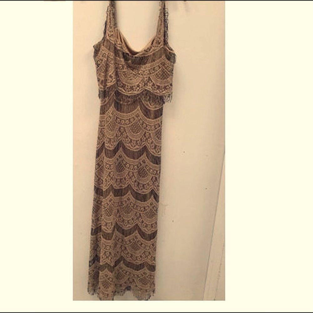 Lacy flapper-style dress. Beautiful fringy detail.